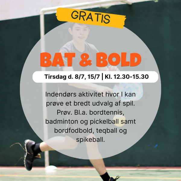 vaks helle hallen sommer aktiviteter - boldspil bat og bold