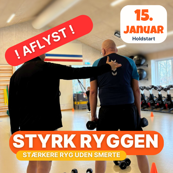 STYRK RYGGEN
