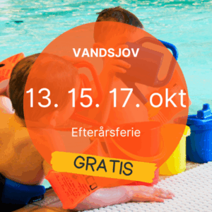 Vandsjov