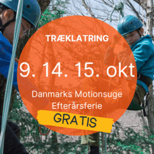 Træklatring med instruktør