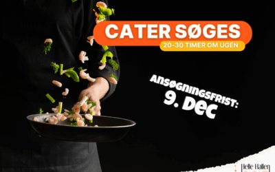 Job: Cater søges til Helle Hallen