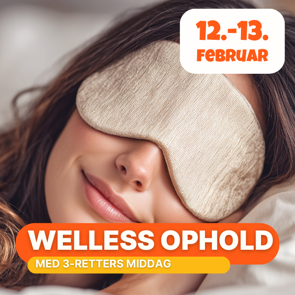 wellness ophold februar 2027