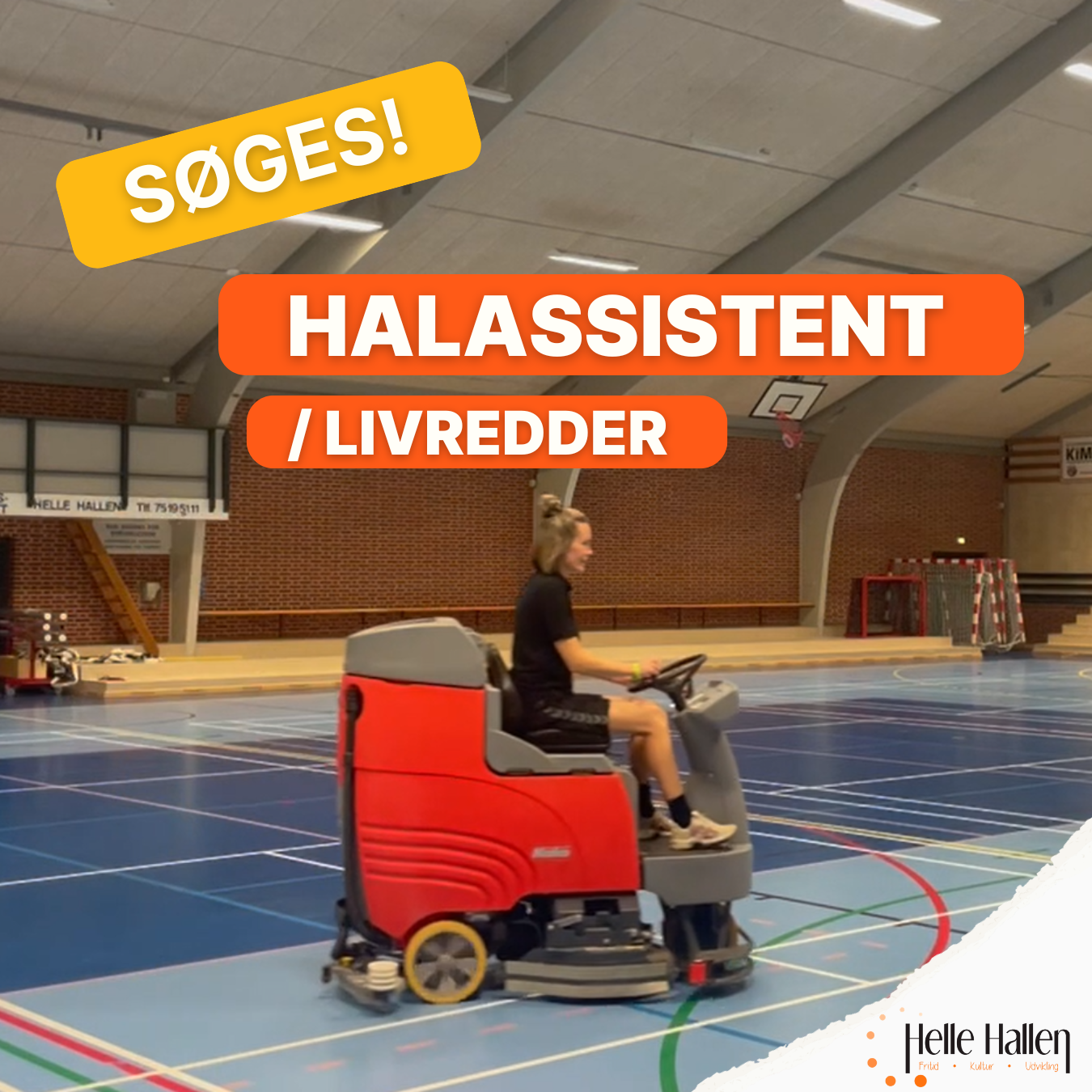 Halassistent livredder helle hallen ledig job