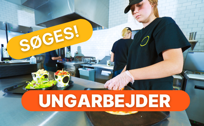 Job: Ungarbejder søges til Helle Hallen
