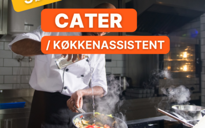 Job: Cater i Helle Hallen